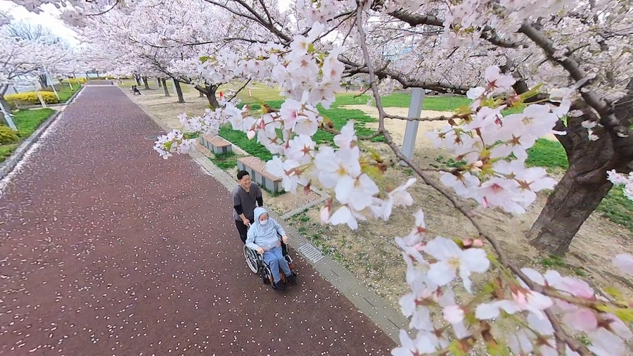 訪問介護
